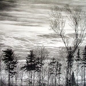 A black and white photo of trees in the foreground.