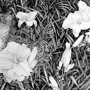 A black and white photo of flowers in the grass.